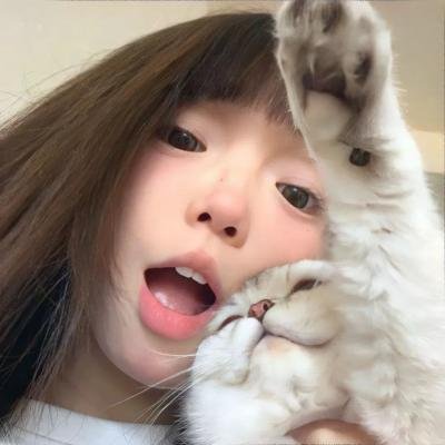 虹猫蓝兔七侠传海报
